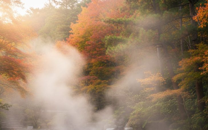 伊香保温泉で熊から身を守るための心得（まとめ）