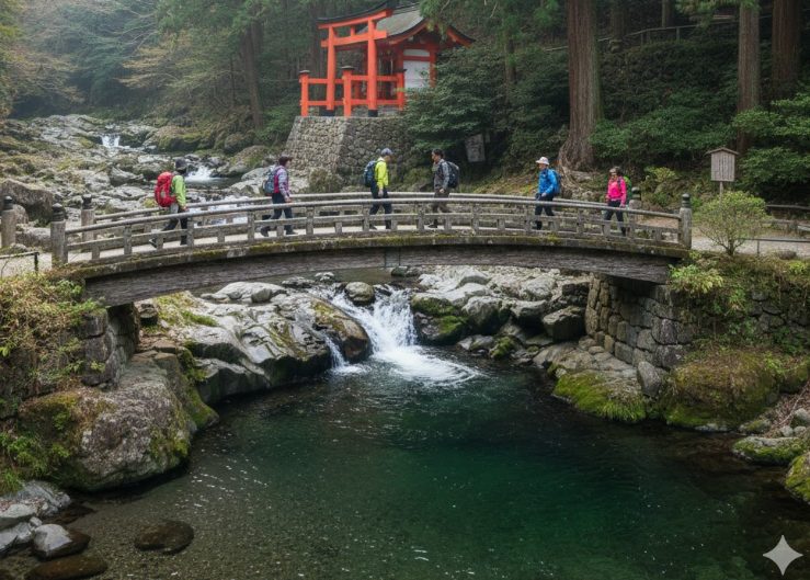 大阪府南部（泉南市）の目撃情報