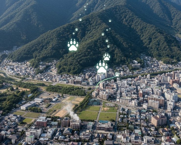 石和温泉に隣接する甲府市の熊出没状況