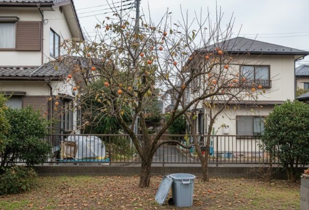 クマを人里に寄せ付けないための注意点