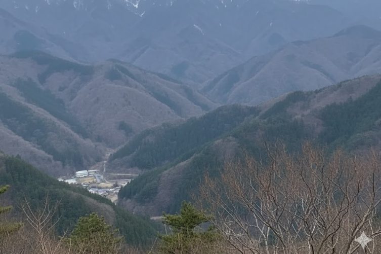 六甲山の熊目撃情報の現状