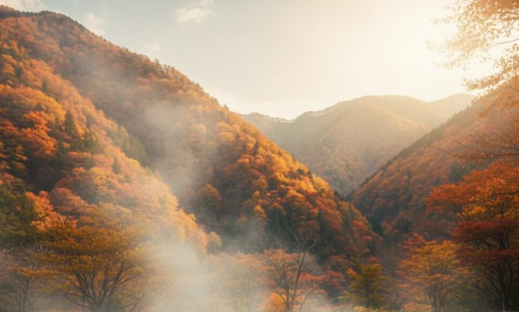 るり温泉旅行と熊対策まとめ