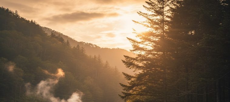 四万温泉で共有される熊情報