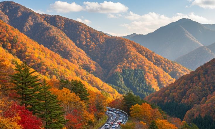 週末や紅葉シーズンの渋滞