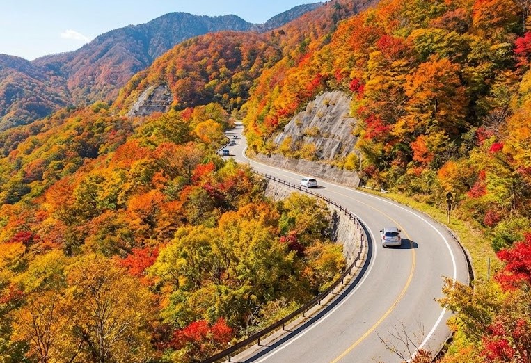 距離や車での移動時間とアクセス