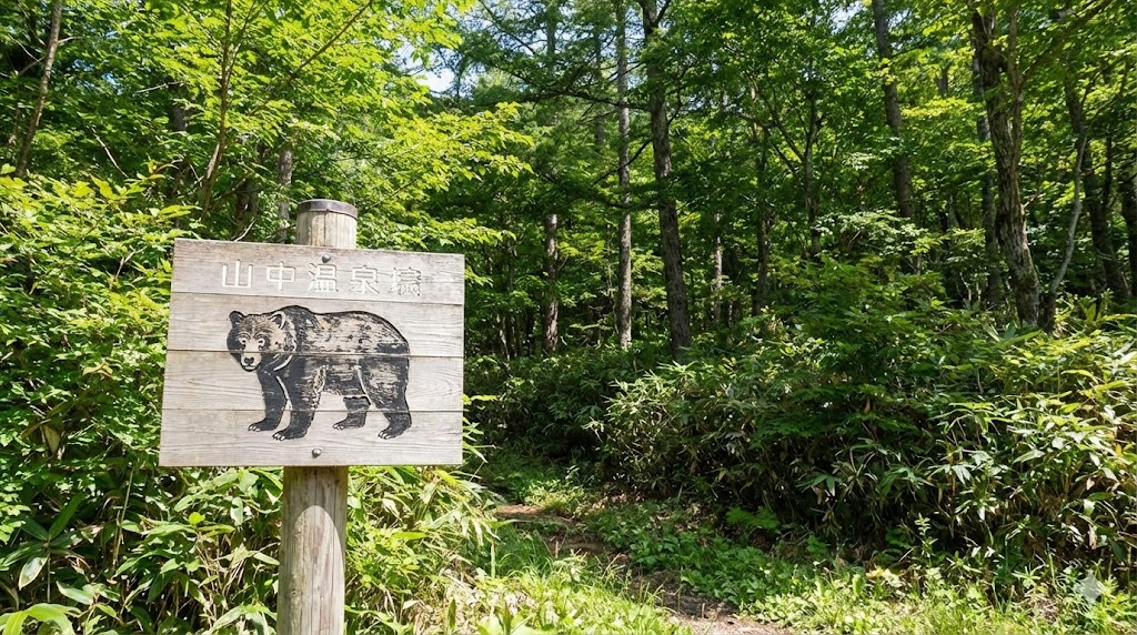 近隣エリアや自然散策時の熊情報と対策